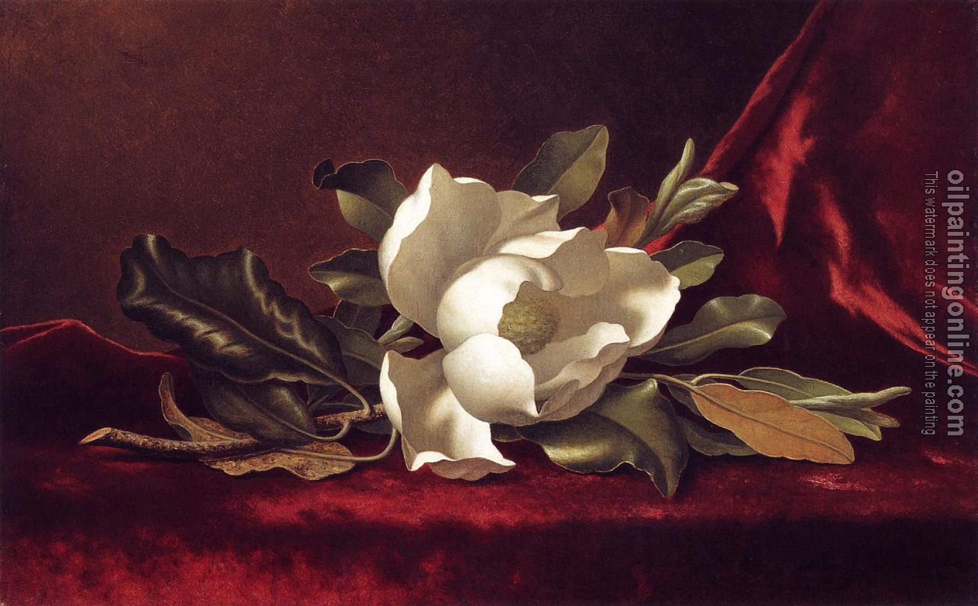 Heade, Martin Johnson - The Magnolia Blossom